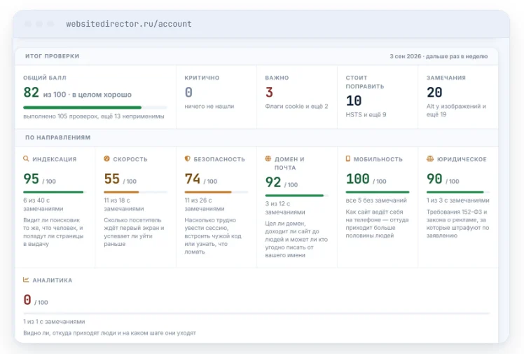 Website Director: итог технического аудита по направлениям
